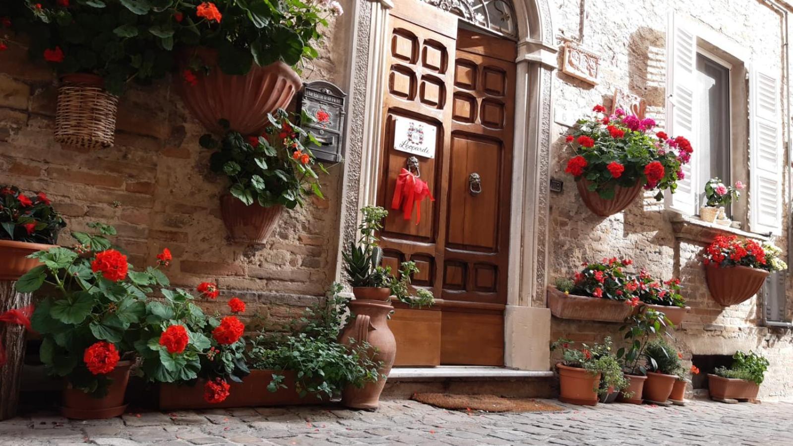 B&B Leopardi Montefiore dellʼAso Eksteriør billede
